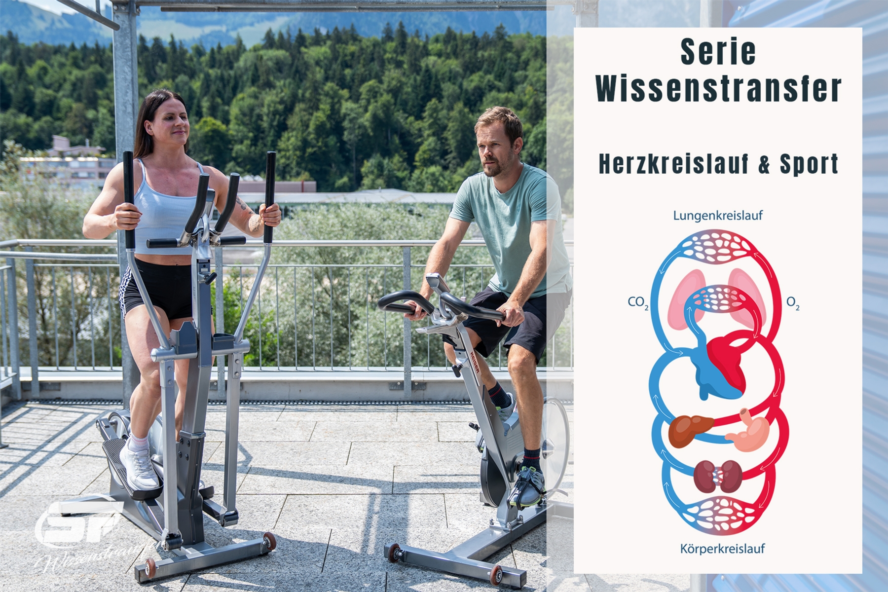 WISSENSTRANSFER - HERZ KREISLAUFSYSTEM UND SPORT