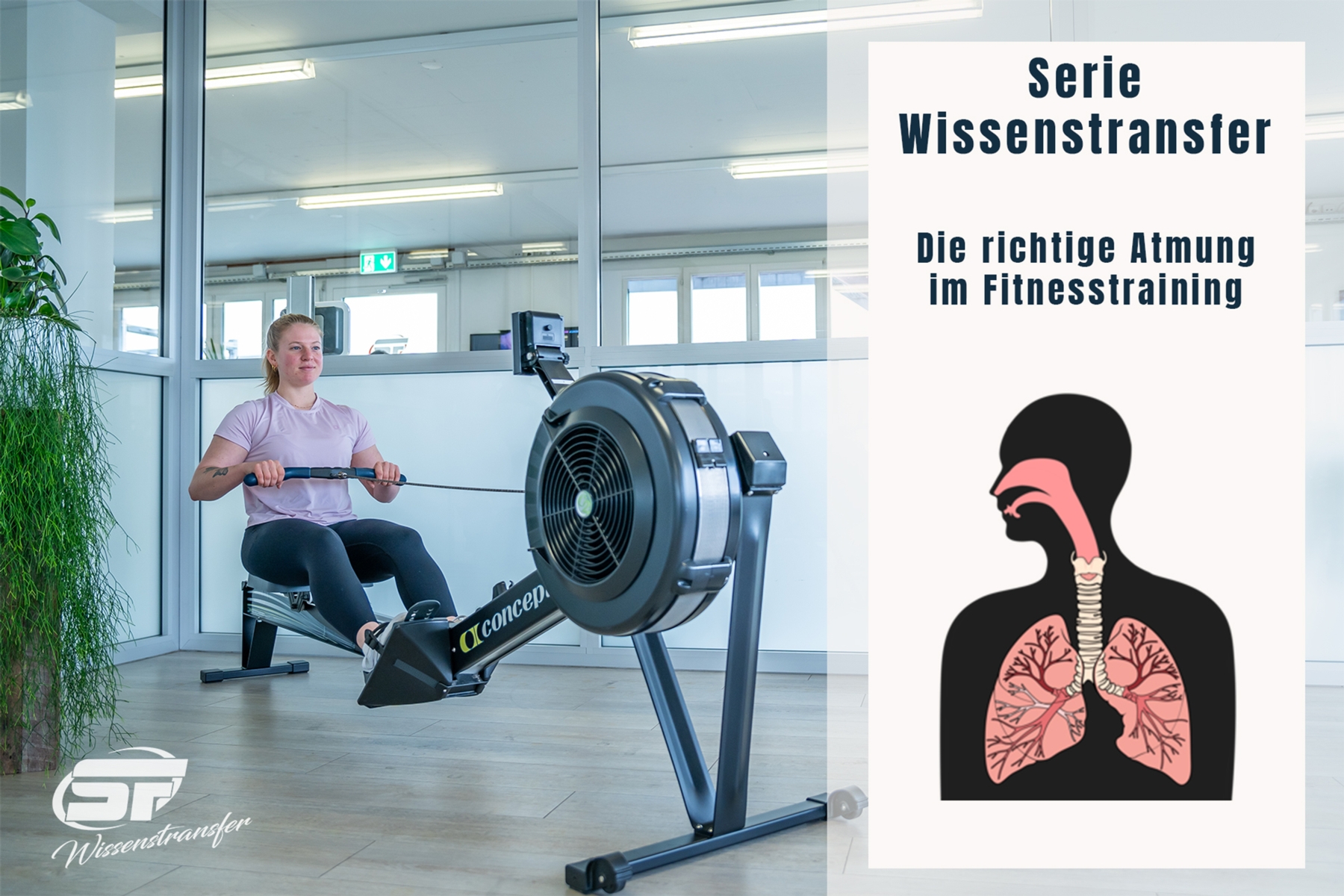 WISSENSTRANSFER - DIE RICHTIGE ATMUNG IM FITNESSTRAINING