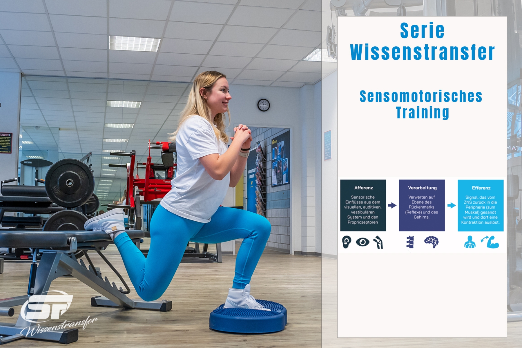 WISSENSTRANSFER - SENSOMOTORISCHES TRAINING