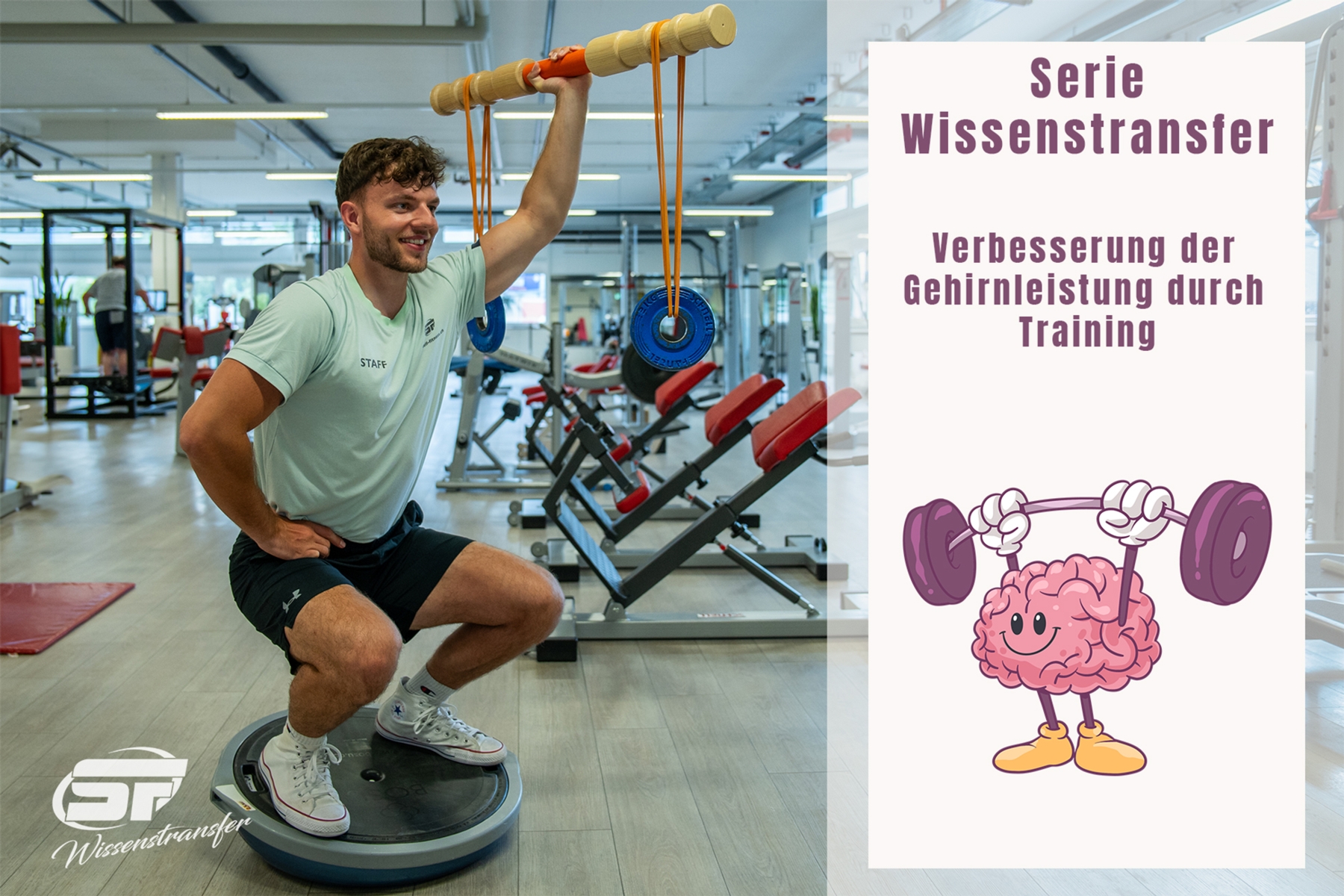 WISSENSTRANSFER - VERBESSERUNG DER GEHIRNLEISTUNG DURCH TRAINING