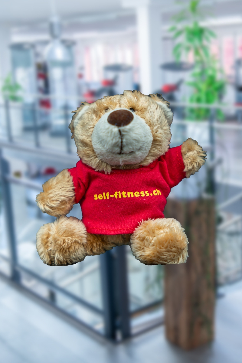 Schlüsselanhänger sf-Bärli